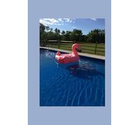Photograph: “Summer Days, Flamingo Floating In A Salt Water Pool”