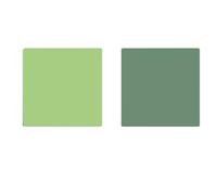 PhotoPropFondale Multicolor | 2Pack Marmorizzazione su 2 latiGioielli con venature del legnoCiboProdSpara(Green)