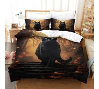 PHQAZWSXE 3D Con Stampa Di The Black Cat on The Steps Set Di Biancheria Da Letto Decorazione Microfibra Set Copripiumino Da Uomo E Da Donna Con Chiusura A Cerniera Single(140x200cm)