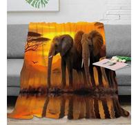 PHQAZWSXE stampa 3D African elephants coperta da divano microfibra biancheria da letto lavabile coperta da salotto anti-pilling per regali per il soggiorno Savanna wildlife scena 80×90inch(200x230cm)