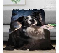 PHQAZWSXE stampa 3D Border Collie cane plaid microfibra biancheria da letto morbido e caldo coperta per aria condizionata soffice anti-pilling per interni Starry night arte 50x60inch(127x152cm)