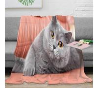 PHQAZWSXE stampa 3D Gray cat resting coperta in pile microfibra biancheria da letto termica plaid in pile morbido e caldo non perde pelo per uso domestico cartoon pet image 50x60inch(127x152cm)