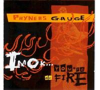 Phyneas Guage - I M Ok.. . You Re on Fire