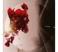 Phyria - Phyria - The Colors Among Us