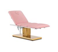 physa Lettino estetista 300 W 200 kg Rosa, oro Lettino estetica Poltrone pedicure per centri estetici Lettino da massaggio