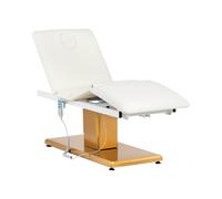 physa Lettino per estetista - 300 W - 190 x 65 x 60 - 73 cm - 200 kg - Bianco/oro PHYSA VITERBO