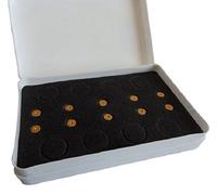 Physiomag Magneti terapeutici Micro pastiglie da 5 mm in terre rare anisotropi dorati all'oro fine