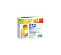 VITADYN RICARICA ALKALIN14BUST