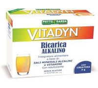 VITADYN RICARICA ALKALIN 14 BUSTINE