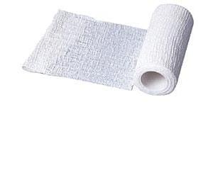 Phyto Performance BENDA ELASTICA ZINCABEND CON PASTA ALL'OSSIDO DI ZINCO CM10X5M 1 PEZZO