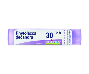 Phytolacca Decandra 30 Ch 80 Gr