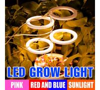 Phytolamp a LED per interni Coltiva le luci Lampada per piante idroponiche a spettro completo per la coltivazione di semi di fiori DC5V USB LED Luce di crescita