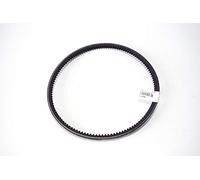 Piaggio Cinghia di Trasmissione Ape Car/MP/TM, 113256