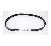 Piaggio Cinghia trapezoidale Porter, B010235