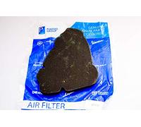 PIAGGIO Elemento Filtro Aria Filtro Aria, Premium per Vespa ET4 Leader, 4874010P