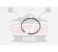 Piaggio Fascia Elastica, Superiore, trapezoidale per Ape 601, 197422