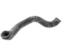 PIAGGIO Manicotto Tubo carburatore, 433912