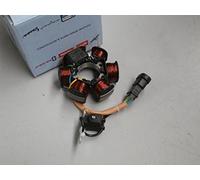 Piaggio Piastra di Ancoraggio/Piastra Base accensione, Langfang Kokusan per 50 2T, 639865