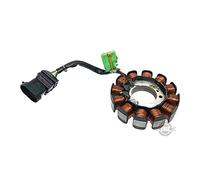 Piaggio Piastra di Ancoraggio/Piastra Base accensione Statore alternatore 50 4T 4V, 1A010013