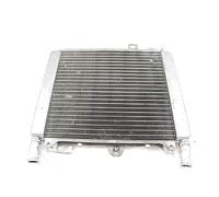 Radiatore Acqua Piaggio Beverly 125/300 RST, 656528