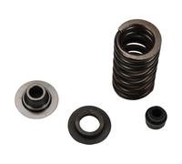 Piaggio Set Molle valvola di Scarico, 2R000260