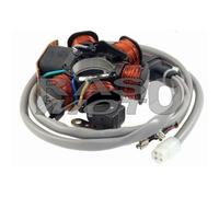 Piaggio Statore a 6 Bobine Volano Originale QUARTZ 50 1995 - 1996