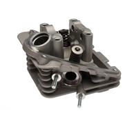 PIAGGIO Testa Cilindro 50 CC 4T/3V i.e, 1A013746