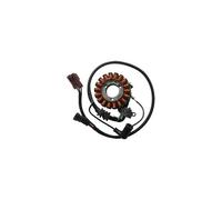 Piaggio Statore completo Kokusan per Carnaby 300 Cruiser Anno 09-10 168003