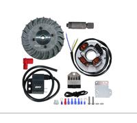 Piaggio Statore Evok Iron Spark per Vespa 50 Special, PK50, Primavera 125, ET3 Argento