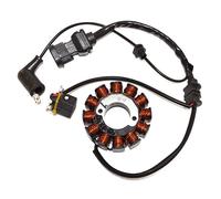 Kokusan Trifase 12 Polos Vespa Iget Stator Argento