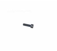 PIAGGIO Vite TCEI, M6x20 mm, 709674