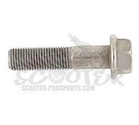 Piaggio Vite Te con Flangia, M5x35 mm, 829593