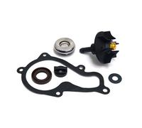 Sgr Piaggio Beverly 350 Water Pump Rebuild Kit Oro
