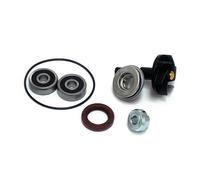 Sgr Vespa Gts 300 Water Pump Rebuild Kit Oro