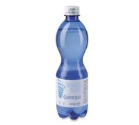 Pian della Mussa QUALEACQUA ACQUA NATURALE 500 ML