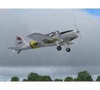 Piani E Modelli DeHavilland Chipmunk In Scala 1/4 102WS