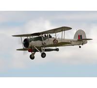 Piani E Modelli Giant 1/7 Scala British Fairey Swordfish 72ws