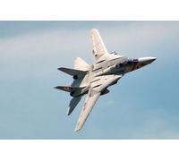 Piani, Modelli E Istruzioni Del Grumman F-14 TOMCAT In Scala Gigante 80ws