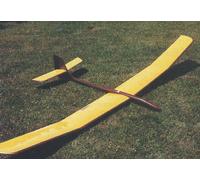 Piani, Modelli E Istruzioni Per Il Volo Del Pesce Spada Gigante 100ws