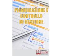 Pianificazione e Controllo di Gestione: Come Implementare un Sistema Controllo di una PMI per Massimizzare i Risultati e Ridurre i Costi