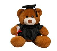Piano Di Fallimento Del Piano Di Orsacchiotto Di Recinzione, Laureato Di Dolce Regalo Finale, Ideale Per I Laureati Di College E Scuole Elementari Per Celebrare La Congregazione Regalo Accessori