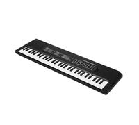 Piano Elettrico Multifunzionale Con Tastiera Elettronica Digitale A 61 Tasti Per Studenti Con Strumenti Con Funzione Microfono