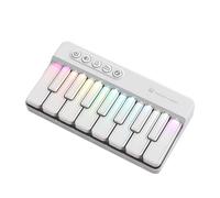 Piano elettronico - Pianos di elettronica portatile chiave il giocattolo educativo precoce per l'apprendimento, pratica con attività, gioco interattivo per ragazzi, classe 3.23x1.18 pollici
