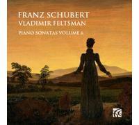 Franz Schubert – Sonate per pianoforte Vol. 6 – CD