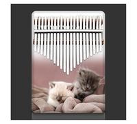 Pianoforte da dito Kalimba a 21 tasti(09)