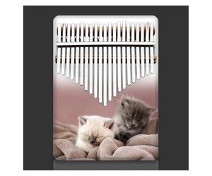 Pianoforte da dito Kalimba a 21 tasti(09)