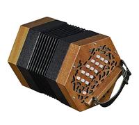 Pianoforte For Fisarmonica A 30 Pulsanti, Suono Affascinante E Più Morbido, Strumento A Tastiera, Con Borsa For Il Trasporto, Regalo For Gli Amici Dei Bambini