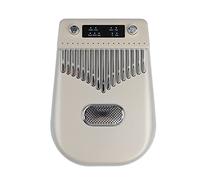 Pianoforte intelligente portatile del pollice, 17 tasti Nome Nota Ergonomico Litio 2000 MAh Batteria Ricaricabile 4 Modalità Smart Electronic Kalimba per Bambini Rituale Religioso (Oro)
