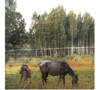 Pianos Become the Teeth Old Pride 12" Album Coloured Vinyl