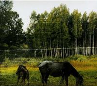 Pianos Become The Teeth Old Pride (CD)